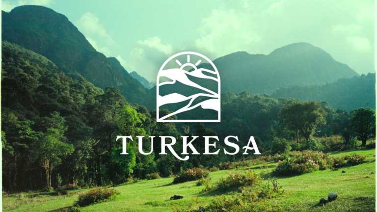 Turkesa brand identity by Cosmic Cat Creatives